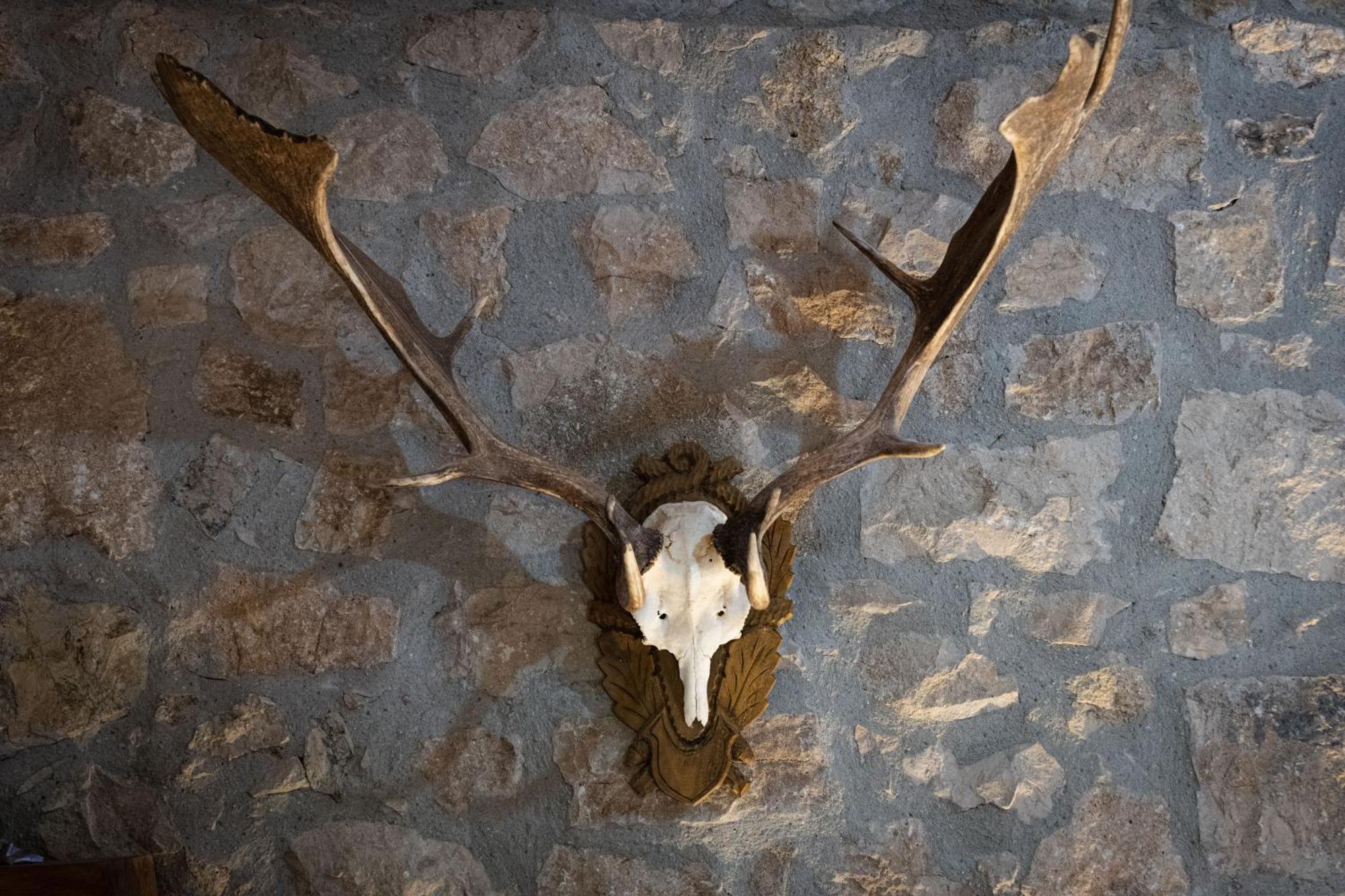 San Giorgio del Sannio Country Relais La Torretta Baronaleゲストハウス エクステリア 写真