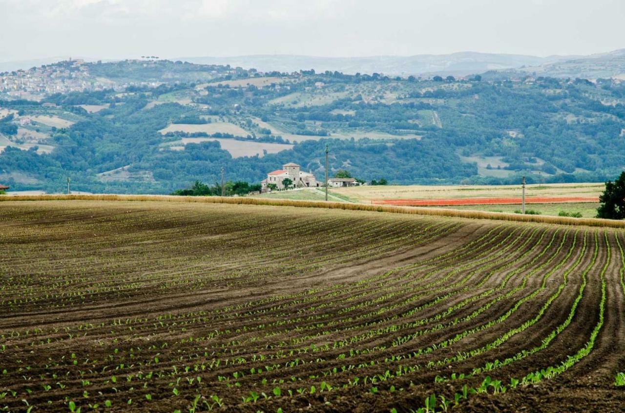San Giorgio del Sannio Country Relais La Torretta Baronaleゲストハウス エクステリア 写真