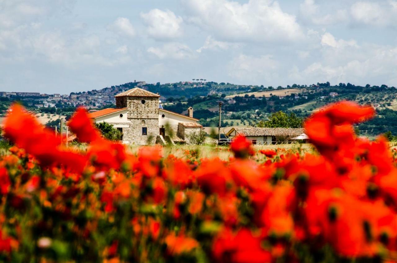 San Giorgio del Sannio Country Relais La Torretta Baronaleゲストハウス エクステリア 写真